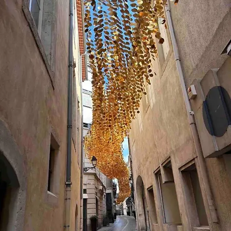 Le Tarenga-beziers Centre-wifi Appartement *